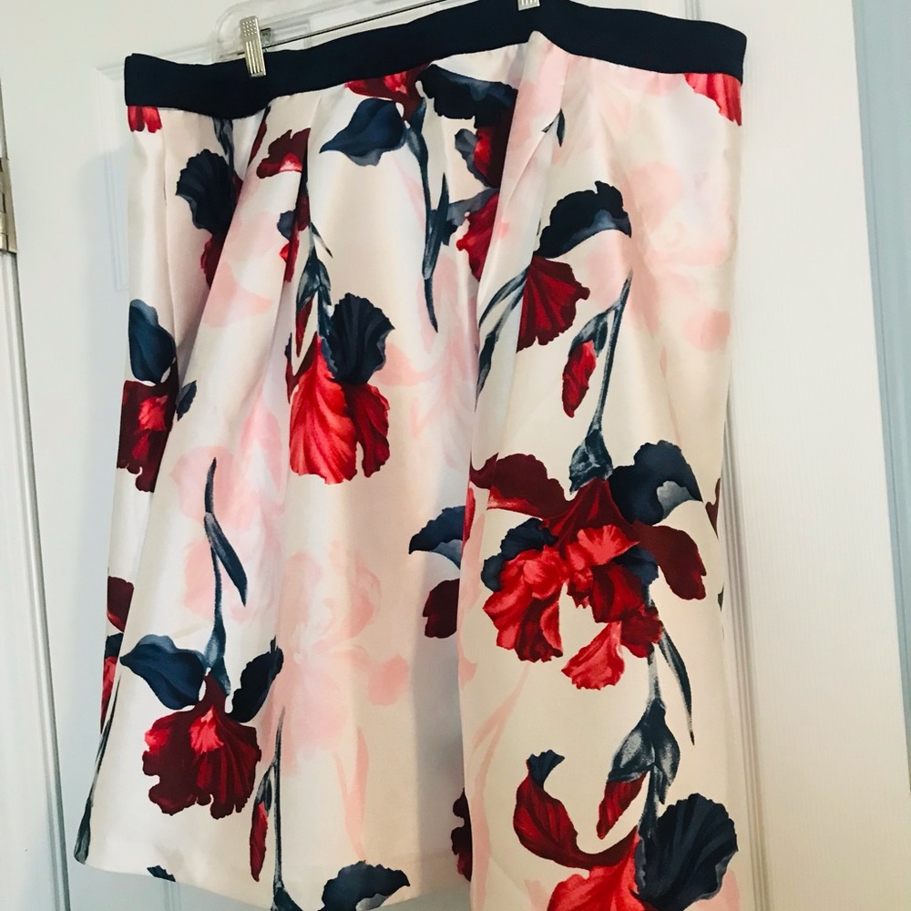 All Dressed Up - image 1